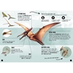 Слика на The Age of the Dinosaurs. 3D Pteranodon
