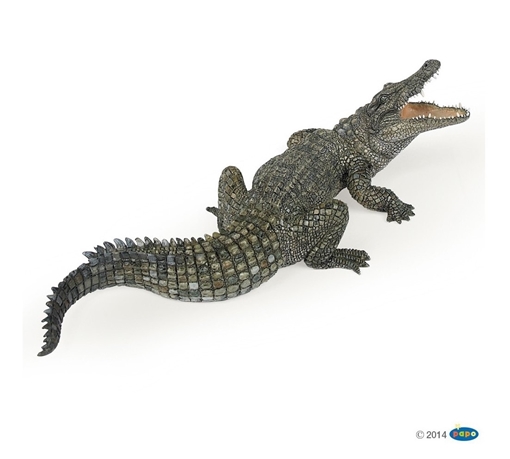 Слика на Нилски крокодил
