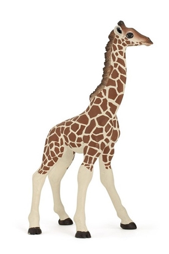 Слика на Жирафа, младенче