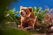 Слика на Кафеава мечка (45 cm)- Living Nature