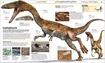 Слика на Knowledge Encyclopedia Dinosaur!