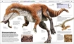 Слика на Knowledge Encyclopedia Dinosaur!