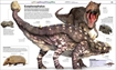 Слика на Knowledge Encyclopedia Dinosaur!