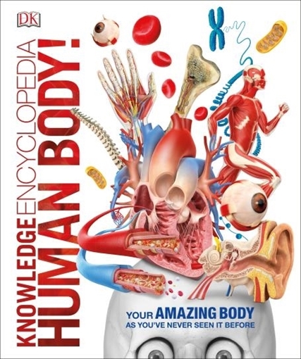 Слика на Knowledge Encyclopedia Human Body!