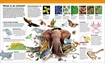 Слика на Knowledge Encyclopedia Animal!