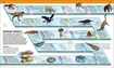 Слика на Knowledge Encyclopedia Animal!