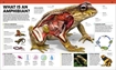 Слика на Knowledge Encyclopedia Animal!