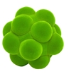 Слика на Сензорна топка - Rubbabu (Зелена, Ø 10 cm) Возрaст: 1 г+