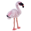Слика на Фламинго - NATIONAL GEOGRAPHIC