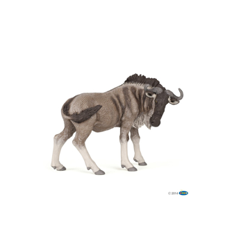 Story box toys and books. Wild animal kingdom Story box toys and books. Wild animal kingdom