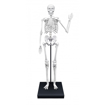Слика на Голем скелет 85 cm - Buki France