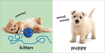 Слика на Baby Touch and Feel: Animals