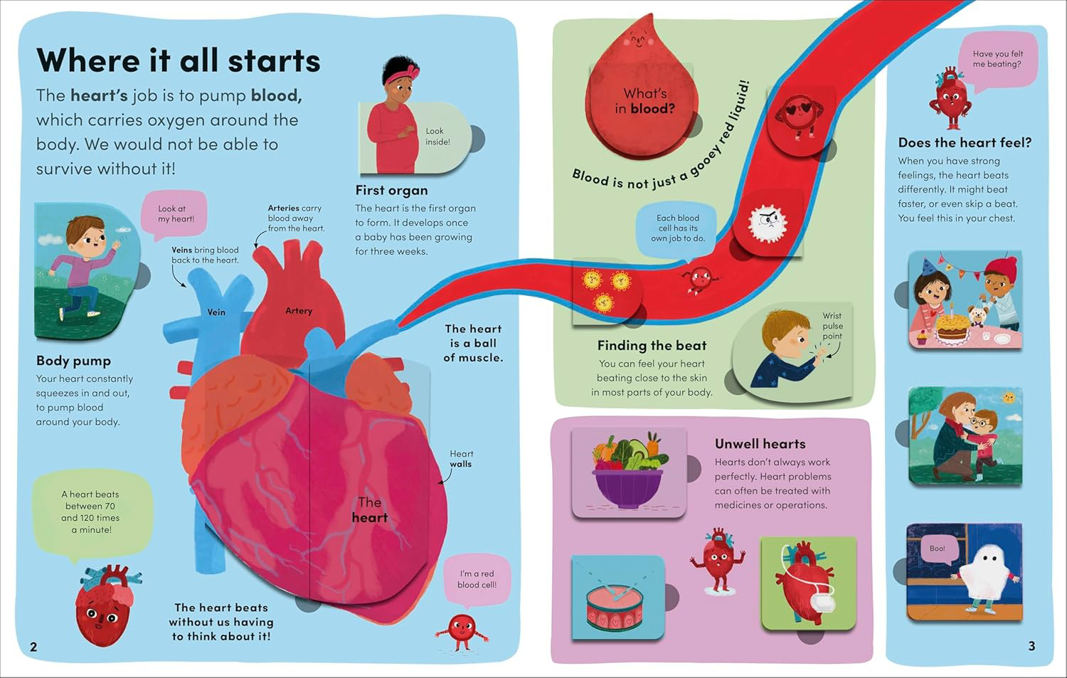 Story box toys and books. You and Your Body A First Look Inside the ...