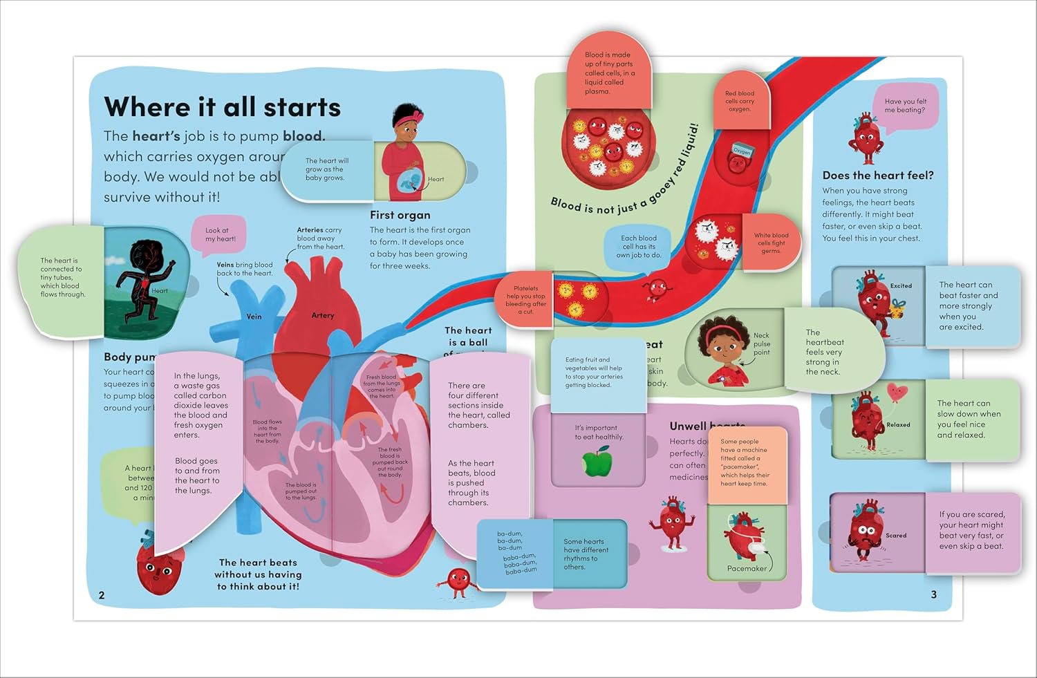 Story box toys and books. You and Your Body A First Look Inside the ...