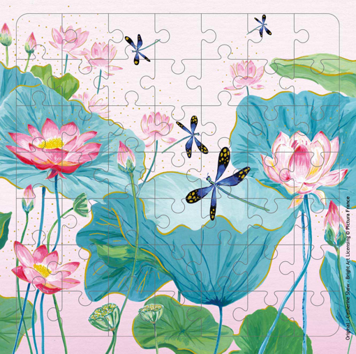 Слика на Картичка за подарок со сложувалка, Вилински коњчиња меѓу водните лилјани - Pictura