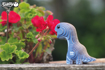 Слика на EUGY Bronto, Brontosaurus 3D Сложувалка - EUGY