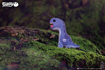 Слика на EUGY Bronto, Brontosaurus 3D Сложувалка - EUGY