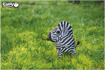 Слика на EUGY Zebra, Зебра 3D Сложувалка - EUGY