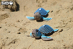 Слика на EUGY Turtle, Желка 3D Сложувалка - EUGY