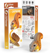 Слика на EUGY Chipmunk, Верверичка 3D Сложувалка - EUGY