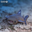 Слика на EUGY Whale Shark, Кит ајкула 3D Сложувалка - EUGY
