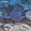 Слика на EUGY Whale Shark, Кит ајкула 3D Сложувалка - EUGY