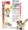 Слика на EUGY Velociraptor, 3D Сложувалка - EUGY