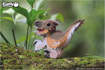 Слика на EUGY Velociraptor, 3D Сложувалка - EUGY
