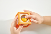 Слика на СЕНЗОРНИ ДРВЕНИ КОЦКИ Delightful Discovery, 10 делови –  Hape